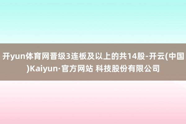 开yun体育网晋级3连板及以上的共14股-开云(中国)Kaiyun·官方网站 科技股份有限公司