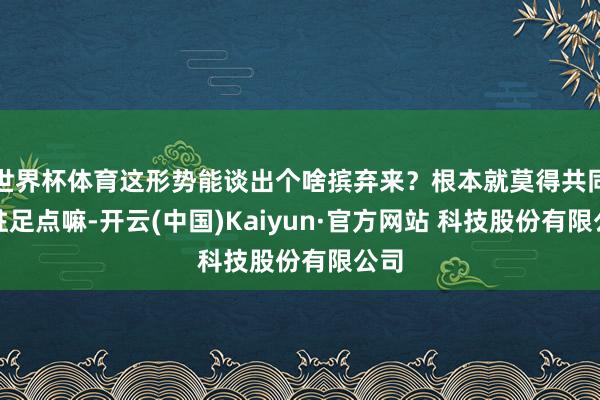 世界杯体育这形势能谈出个啥摈弃来？根本就莫得共同的驻足点嘛-开云(中国)Kaiyun·官方网站 科技股份有限公司