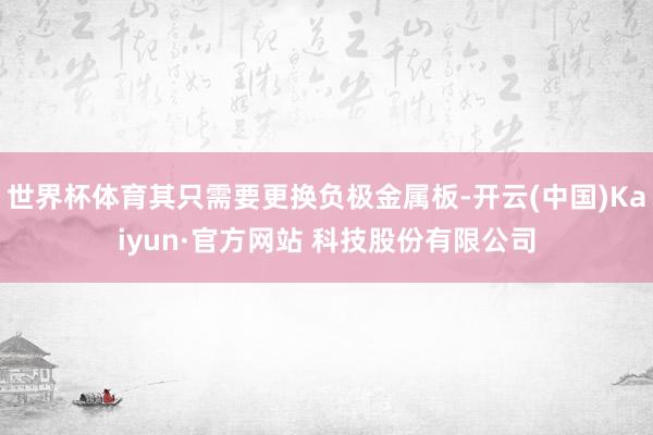 世界杯体育其只需要更换负极金属板-开云(中国)Kaiyun·官方网站 科技股份有限公司