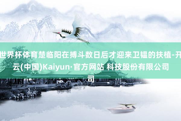 世界杯体育楚临阳在搏斗数日后才迎来卫韫的扶植-开云(中国)Kaiyun·官方网站 科技股份有限公司