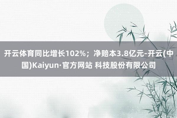 开云体育同比增长102%；净赔本3.8亿元-开云(中国)Kaiyun·官方网站 科技股份有限公司