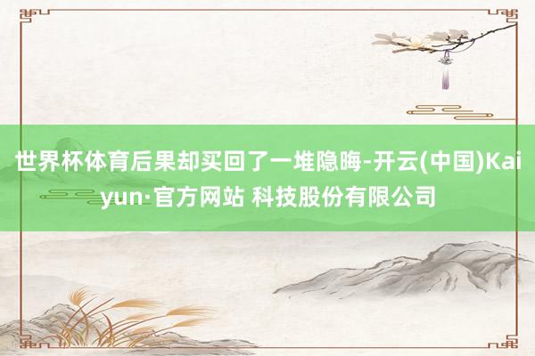 世界杯体育后果却买回了一堆隐晦-开云(中国)Kaiyun·官方网站 科技股份有限公司